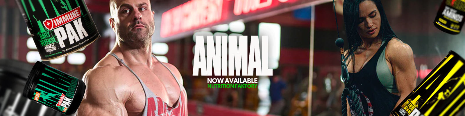 Animal