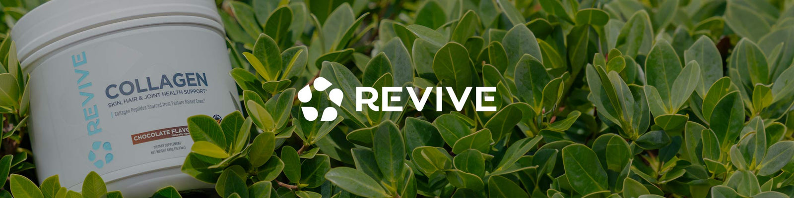 Revive