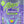 Alani Nu Pre Workout + 30srv - Nutrition Faktory 