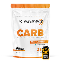 Axe & Sledge Endurance Carb 25srv