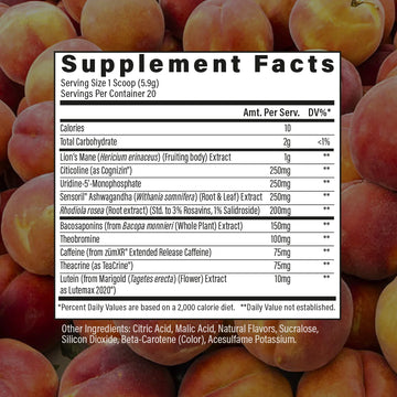 Raw Steady State 20srv - Nutrition Faktory 