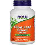 Olive Leaf 500mg 120Caps