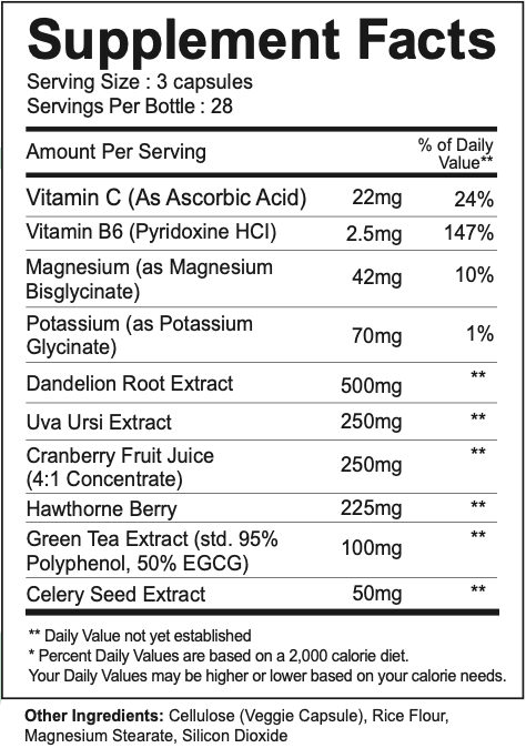 1st Phorm Symmetry 28srv - Nutrition Faktory 